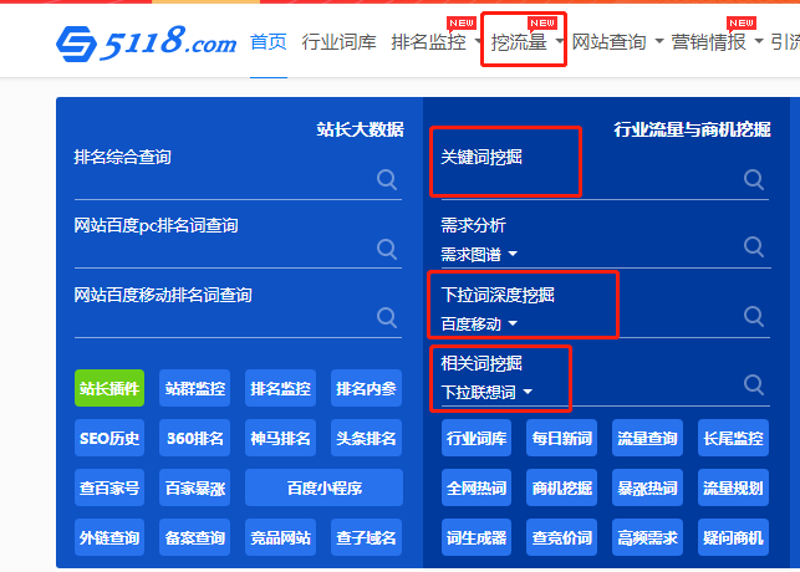 站群系统的崛起与挑战
